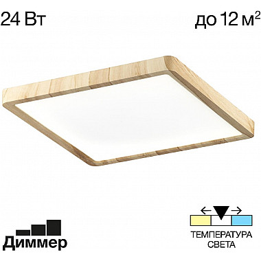 Настенно-потолочный светильник Бейсик CL738K242V