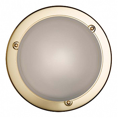 Настенно-потолочный светильник Riga 215