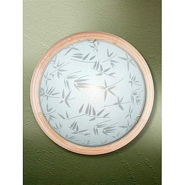 Настенно-потолочный светильник Vitaluce V6264/2A