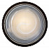 Настенно-потолочный светильник Toplight Rebecca TL1129-1Y