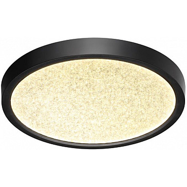 Настенно-потолочный светильник Omega Black 7662/18L