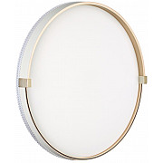 Настенно-потолочный светильник Olidi White 7646/DL