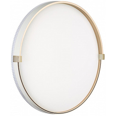 Настенно-потолочный светильник Olidi White 7646/DL