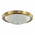 Настенно-потолочный светильник Lumion Nina 5259/4C