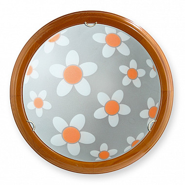 Настенно-потолочный светильник V6071/1A