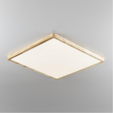 Настенно-потолочный светильник Бейсик CL738K502V