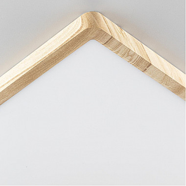 Настенно-потолочный светильник Бейсик CL738K502V