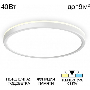 Настенно-потолочный светильник Basic Line CL738320VL