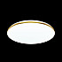 Настенно-потолочный светодиодный светильник Sonex Lassa 3043/EL