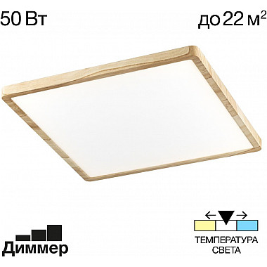 Настенно-потолочный светильник Бейсик CL738K502V