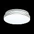 Настенно-потолочный светильник Sonex Smalli 3016/AL