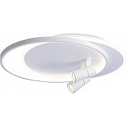 Настенно-потолочный светильник Comfort FL51391