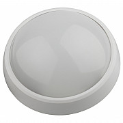 Настенно-потолочный светильник SPB-1-12-MWS (W)