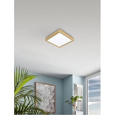 Настенно-потолочный светильник Fueva 5 900183