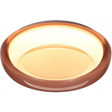 Настенно-потолочный светильник Portman 7778/DLN