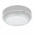 Настенно-потолочный светодиодный светильник Gauss Eco IP65 126418212-S