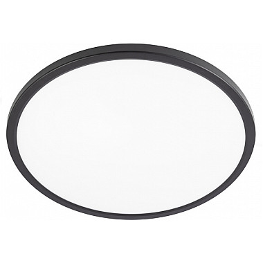 Настенно-потолочный светильник Basic Line CL738321VL