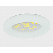 Настенно-потолочный светильник CW1L 000024988