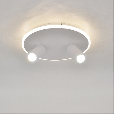 Настенно-потолочный светильник 20046LED 20046SMA/02LED WH