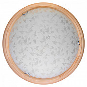 Настенно-потолочный светильник Beatrice TL9280Y-00PN