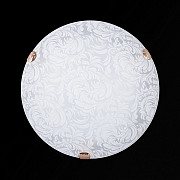 Настенно-потолочный светильник Перья мат (300) НПБ 01-2х60-001