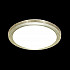 Настенно-потолочный светильник Sonex Lerba gold 3032/EL
