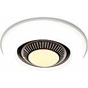 Настенно-потолочный светильник CW1L 000023309