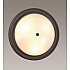 Настенно-потолочный светильник Lumion Nina 5260/3C