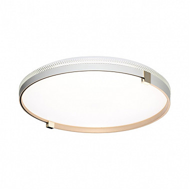 Настенно-потолочный светильник Olidi White 7646/ELN