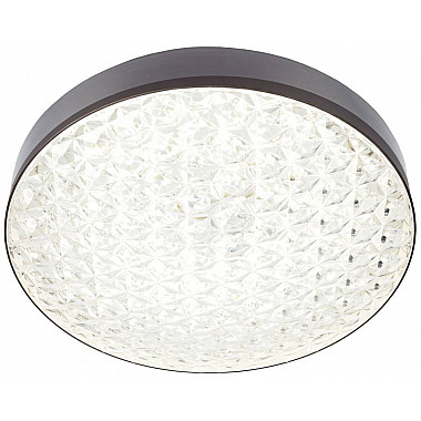 Настенно-потолочный светильник CW1L 000024759