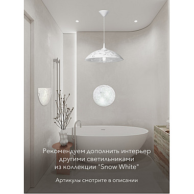 Настенно-потолочный светильник CW1N 000059669