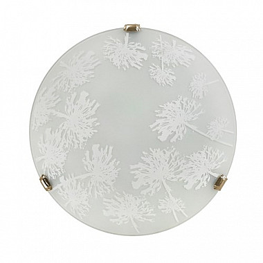 Настенно-потолочный светильник Winter 378/P1