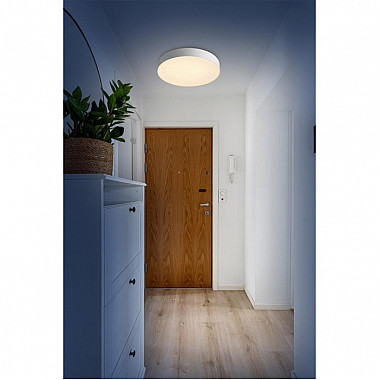 Настенно-потолочный светильник Optima 7779/ELN