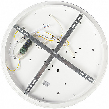 Настенно-потолочный светильник CW1L 000026184