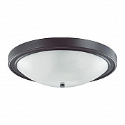 Настенно-потолочный светильник Lumion Nina 5260/4C