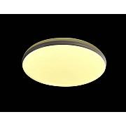 Настенно-потолочный светильник CW1L 000021511