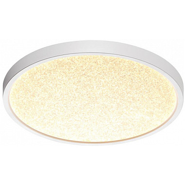 Настенно-потолочный светильник Omega White 7661/24L