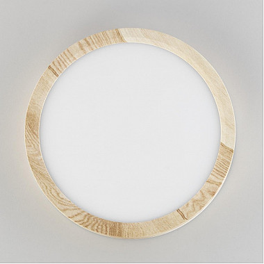 Настенно-потолочный светильник Бейсик CL738122N