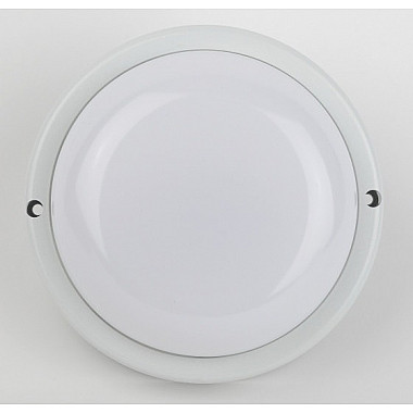 Настенно-потолочный светильник SPB-201-2-65K-018