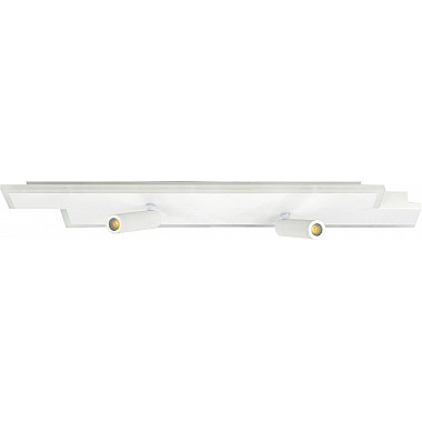 Настенно-потолочный светильник 20047Led 20047SMA/02LED WH