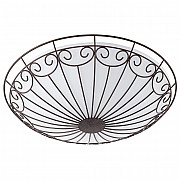 Настенно-потолочный светильник Colti 92142