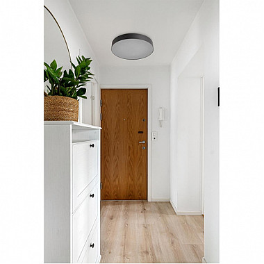 Настенно-потолочный светильник Optima 7780/DLN