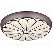 Настенно-потолочный светильник CW1L 000024764