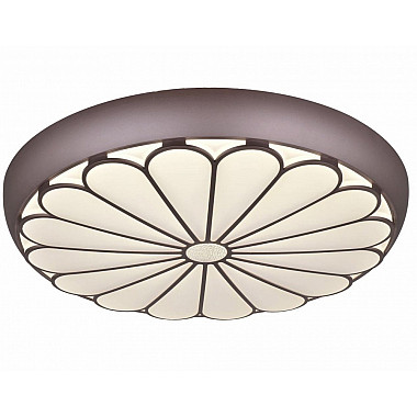 Настенно-потолочный светильник CW1L 000024764