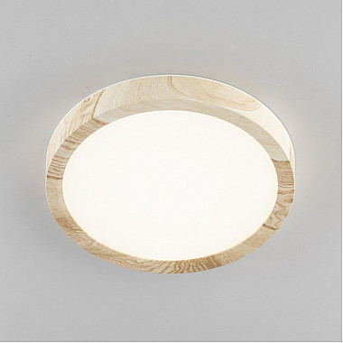 Настенно-потолочный светильник Бейсик CL738122N