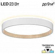 Настенно-потолочный светильник Etalon CL750240