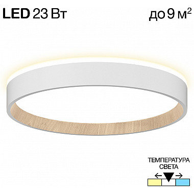 Настенно-потолочный светильник Etalon CL750240