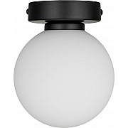 Настенно-потолочный светильник WLL105.17BL-S01WH