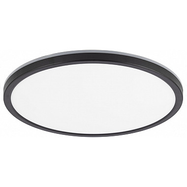 Настенно-потолочный светильник Basic Line CL738321EL