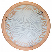 Настенно-потолочный светильник Agatha TL9260Y-00PN